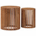 Set măsuțe laterale cu depozitare cu ușă Maro 40 x 40 x 45 cm - WALTI WALTI