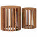 Set măsuțe laterale cu depozitare cu ușă Maro 40 x 40 x 45 cm - WALTI WALTI