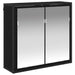 Set de mobilier pentru baie cu raft Stejar Negru Lemn compozit - WALTI WALTI