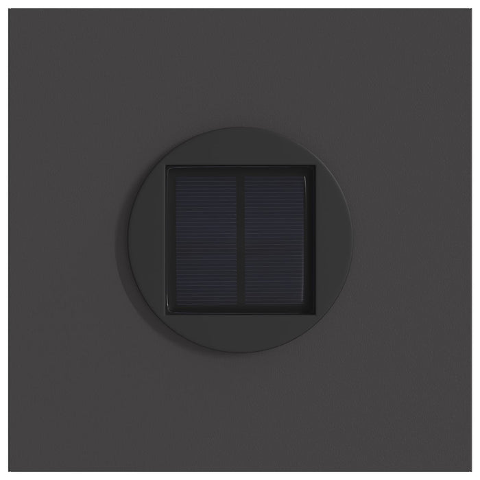 Lumină LED Solară pentru Alei 2 pcs Negru Oțel laminat la rece - WALTI WALTI
