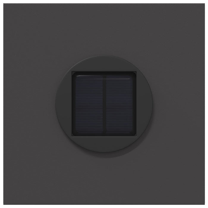 Lumină LED Solară pentru Alei 2 pcs Negru Oțel laminat la rece - WALTI WALTI
