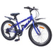 Bicicletă pentru Copii 20 Inci 6-Speed pentru 6-11 ani - WALTI WALTI