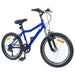 Bicicletă pentru Copii 24 Inci 6-Speed pentru 8-12 ani - WALTI WALTI