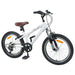 Kids Mountain Bike 20 Inci 6-Speed pentru 5-8 ani Alb - WALTI WALTI