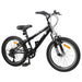 Kids Mountain Bike 24 Inci 6-Speed pentru 8-12 ani Negru - WALTI WALTI
