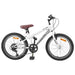 Bicicletă Montană 24 Inci 6-Speed pentru 8-12 ani Alb - WALTI WALTI