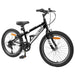 Bicicletă Montană 20 Inci 6-Speed pentru 5-8 ani Negru - WALTI WALTI