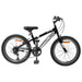 Bicicletă Montană 20 Inci 6-Speed pentru 5-8 ani Negru - WALTI WALTI