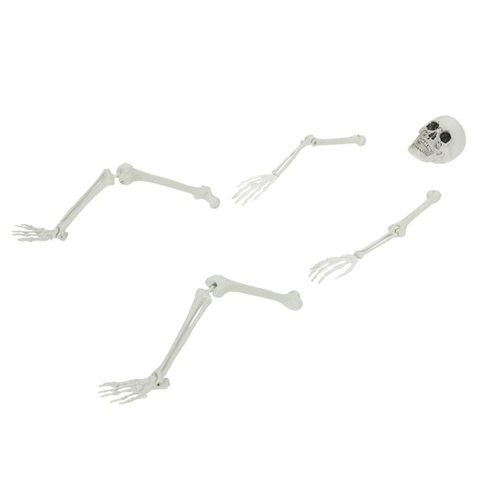 Schelet de Halloween cu colți pentru sol Alb 45,5 x 13 cm - WALTI WALTI