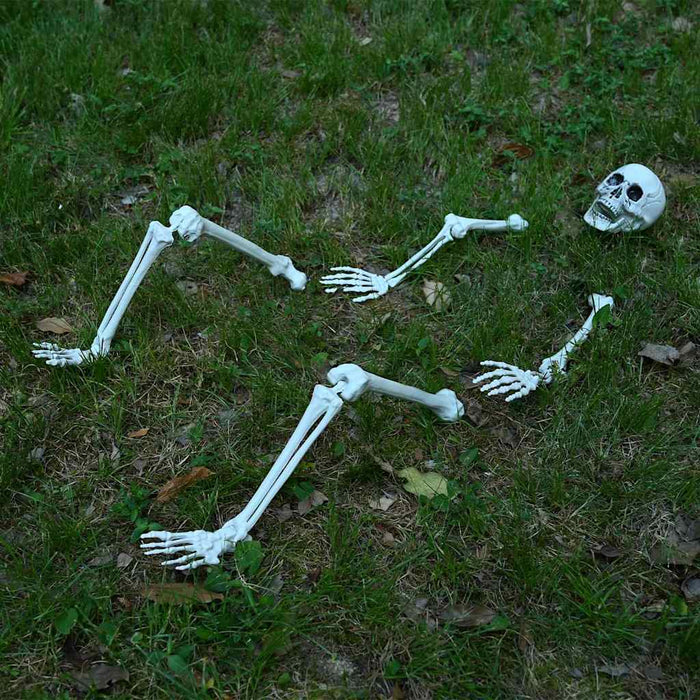 Schelet de Halloween cu colți pentru sol Alb 45,5 x 13 cm - WALTI WALTI