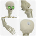 Schelet de Halloween Alb 155 x 38.5 cm Plastic - WALTI WALTI