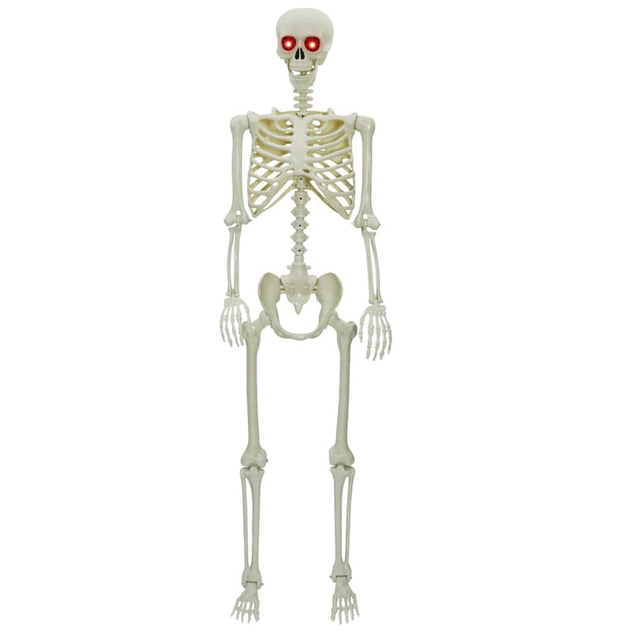 Schelet de Halloween Alb 155 x 38.5 cm Plastic - WALTI WALTI