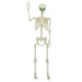 Schelet de Halloween Alb 155 x 38.5 cm Plastic - WALTI WALTI