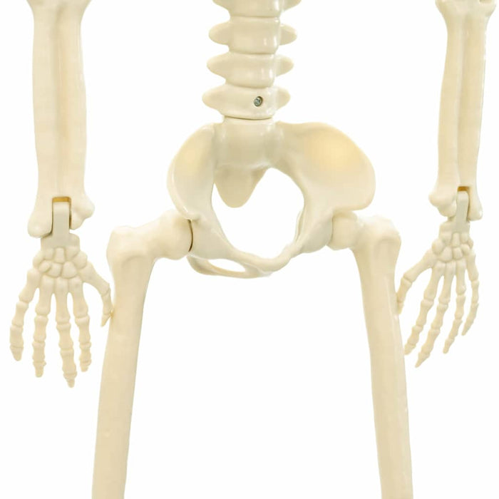 Schelet de Halloween Manual Ajustabil 2 pcs Alb 85 cm PVC - WALTI WALTI