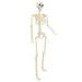 Schelet de Halloween Manual Ajustabil 2 pcs Alb 85 cm PVC - WALTI WALTI