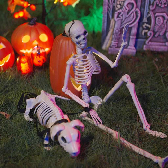 Decorațiune de Halloween: schelet cu câine 2 pcs Alb 155 cm - WALTI WALTI
