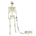 Decorațiune de Halloween: schelet cu câine 2 pcs Alb 155 cm - WALTI WALTI