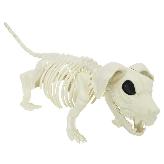 Decorațiune de Halloween: schelet cu câine 2 pcs Alb 155 cm - WALTI WALTI