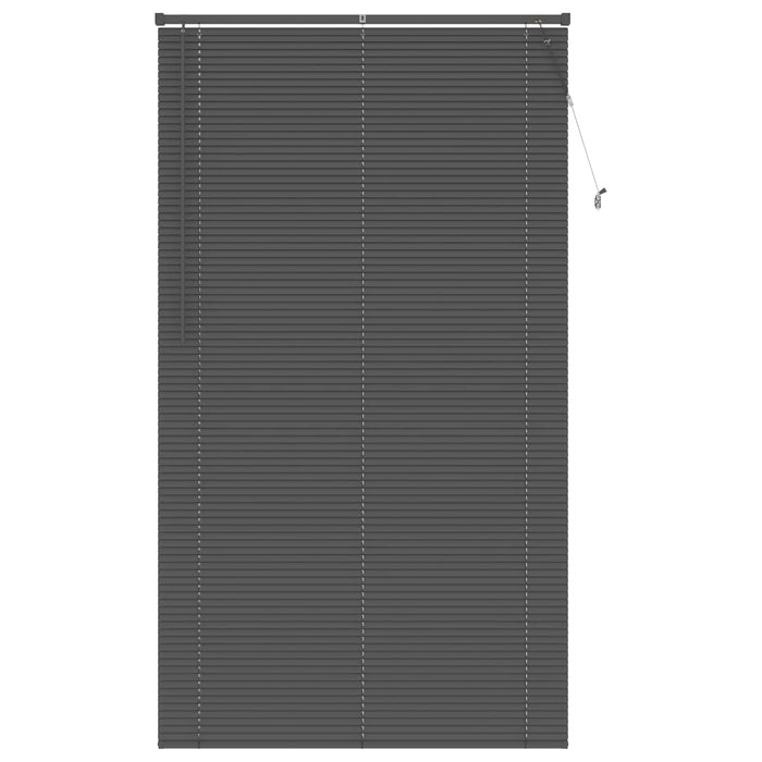 Jaluzea venetiană Manual Gri argintie 213 x 110 cm PVC - WALTI WALTI