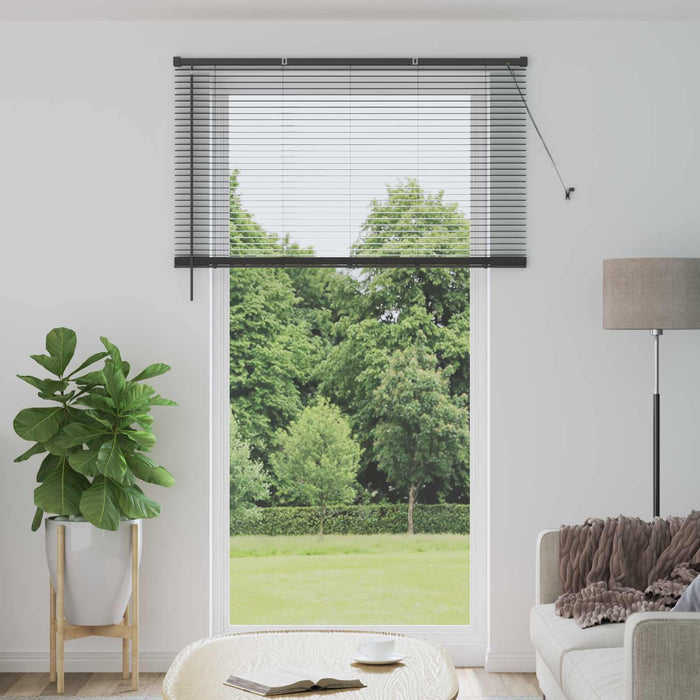Jaluzea venetiană Manual Gri argintie 213 x 150 cm PVC - WALTI WALTI