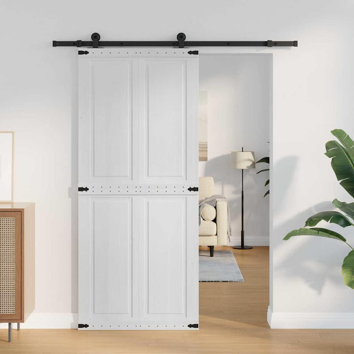 Ușă hambar Corona 90 x 210 cm Lemn masiv de pin - WALTI WALTI