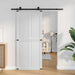 Ușă hambar Corona 90 x 210 cm Lemn masiv de pin - WALTI WALTI
