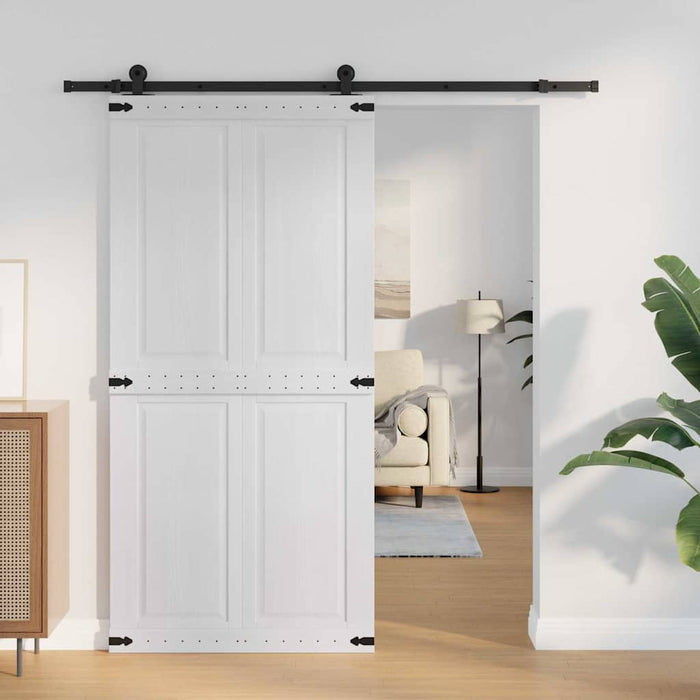 Ușă hambar Corona 100 x 210 cm Lemn masiv de pin - WALTI WALTI