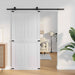 Ușă hambar Corona 100 x 210 cm Lemn masiv de pin - WALTI WALTI