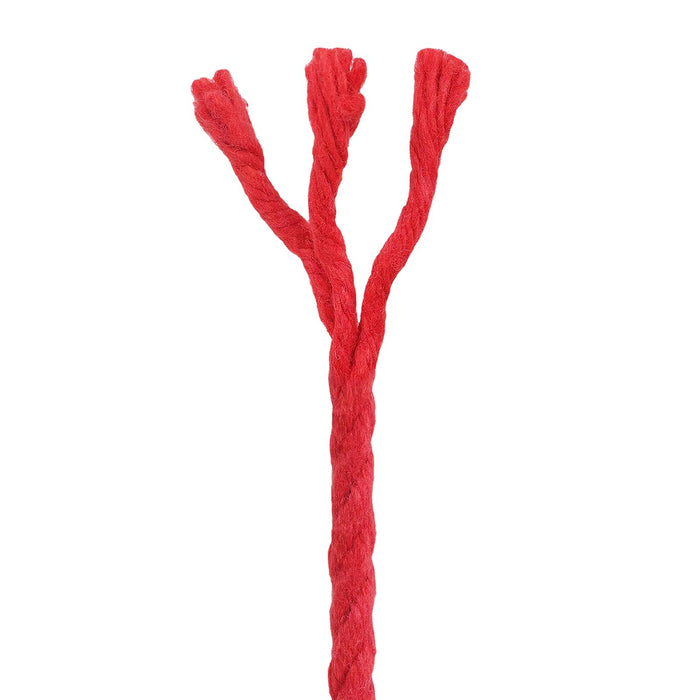 Sfoară 10 pcs Roșu Bumbac WALTI