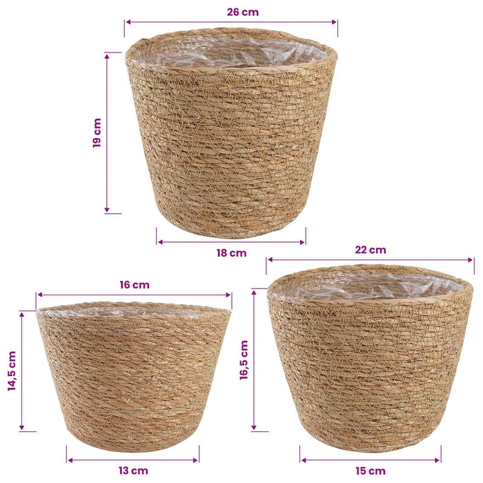 Coșuri pentru plante din iarbă de mare 3 pcs natural WALTI