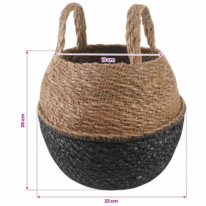 Vază pentru plante cu mânere 2 pcs Negru Ø 22 x 20 cm WALTI