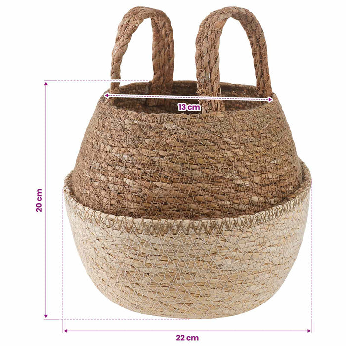Vază pentru plante cu mânere Alb Ø 22 x 20 cm WALTI