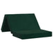 Canapea Pat Pliabilă 80 x 67 x 45 cm Verde închis - WALTI WALTI