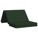 Canapea Pat Pliabilă 100 x 67 x 45 cm Verde închis - WALTI WALTI