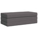 Canapea Pat Pliabilă 140 x 67 x 45 cm Gri deschis - WALTI WALTI