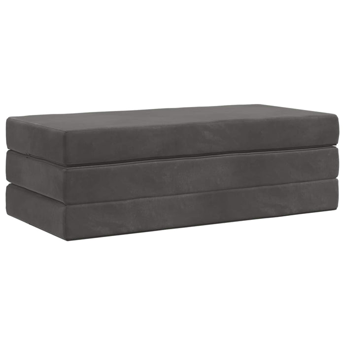 Canapea Pat Pliabilă 140 x 67 x 45 cm Gri închis WALTI