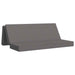 Canapea Pat Pliabilă 180 x 67 x 45 cm Gri deschis - WALTI WALTI