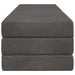 Canapea Pat Pliabilă 180 x 67 x 45 cm Gri închis - WALTI WALTI