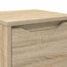 Dulap de Baie Stejar Sonoma 30,5 x 30 x 101 cm Lemn compozit - WALTI WALTI