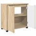 Cabinet pentru chiuvetă de baie Stejar Sonoma 60 x 30 x 60 cm - WALTI WALTI