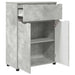 Dulap de Baie Gri din beton 72,5 x 36,5 x 100 cm Lemn compozit - WALTI WALTI