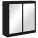 Dulap cu oglindă pentru baie cu raft Negru 60 x 20 x 60 cm - WALTI WALTI