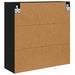 Dulap cu oglindă pentru baie cu raft Negru 60 x 20 x 60 cm - WALTI WALTI