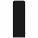 Dulap cu oglindă pentru baie cu raft Negru 60 x 20 x 60 cm - WALTI WALTI
