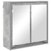 Dulap cu oglindă pentru baie Gri din beton 60 x 20 x 60 cm - WALTI WALTI
