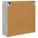 Dulap cu oglindă pentru baie Gri din beton 60 x 20 x 60 cm - WALTI WALTI