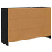 Bufet cu sertar Negru 100 x 30 x 65,6 Lemn compozit - WALTI WALTI