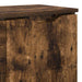 Bufet cu sertar Stejar fumuriu 100 x 30 x 65,6 Lemn compozit - WALTI WALTI