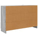 Bufet cu sertar Gri Sonoma 100 x 30 x 65,6 Lemn compozit - WALTI WALTI