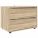 Dulap de depozitare Stejar Sonoma 80 x 48 x 57 cm Lemn compozit - WALTI WALTI